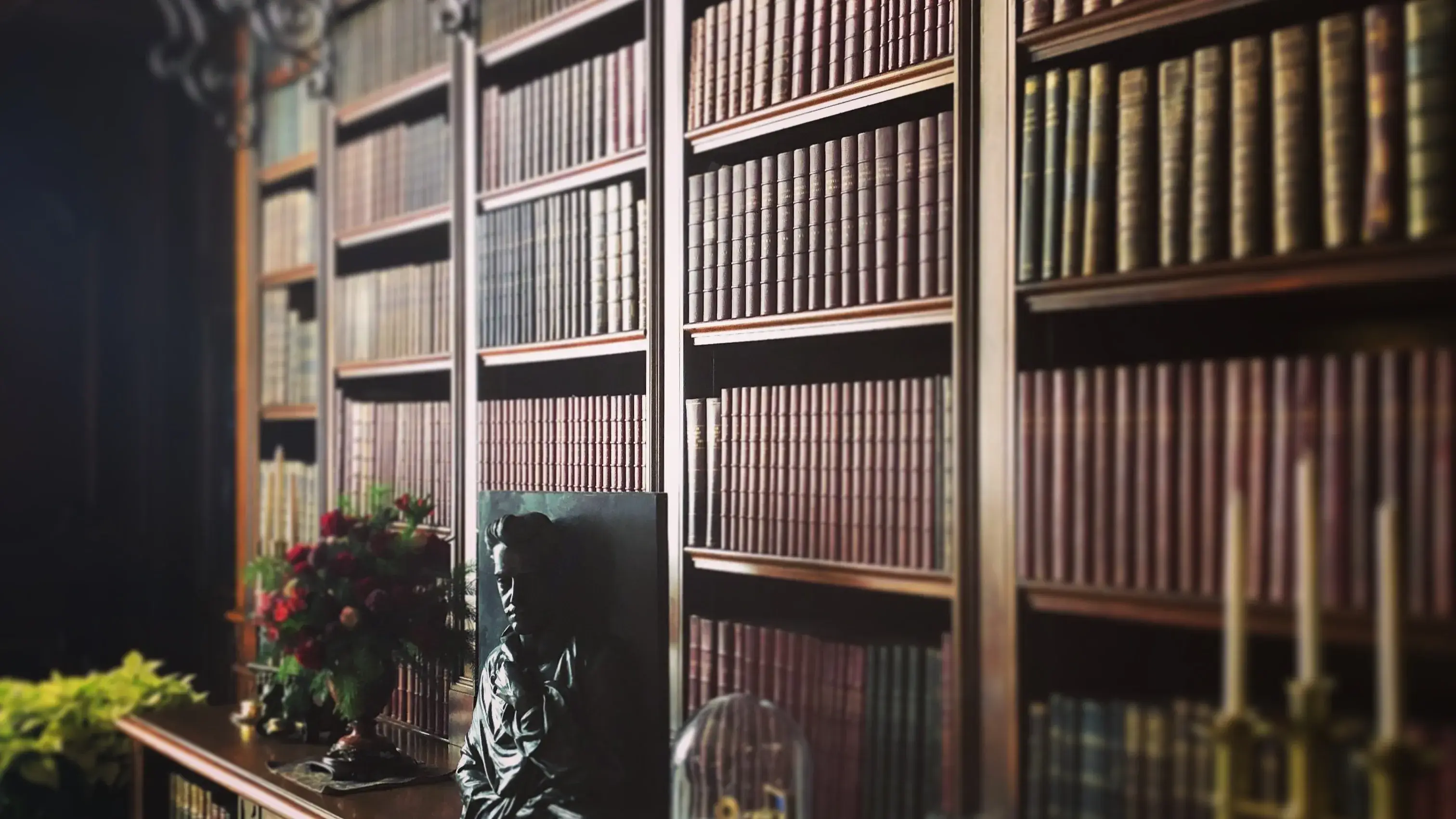 Description of the pic