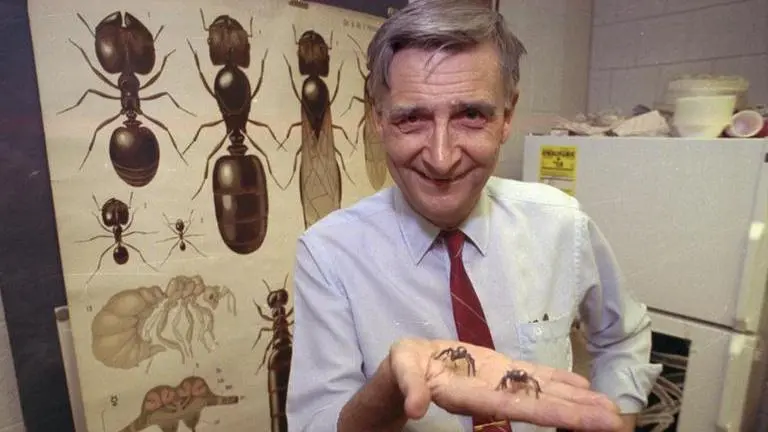 US: Renowned biologist Edward O Wilson a.k.a the "ant man" dies at 92 US