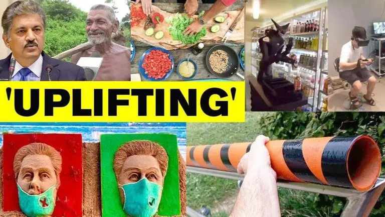 Good News: From Anand Mahindra gifting tractor to sand artist's creation, read 5 stories Good News