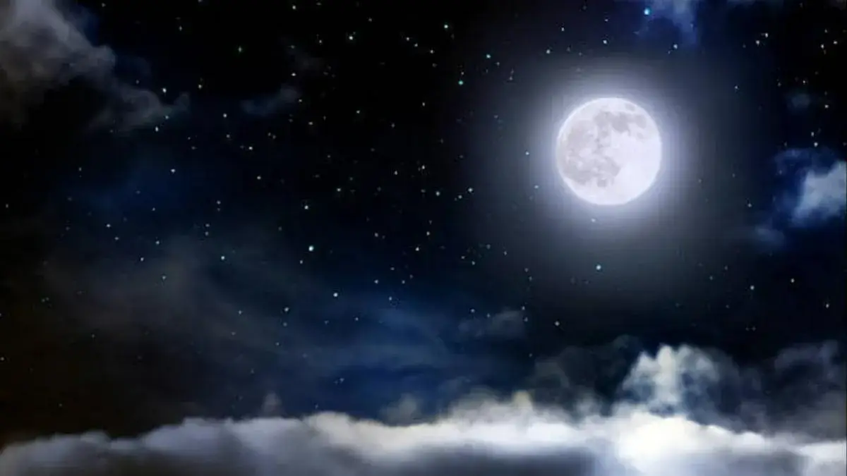 Description of the pic