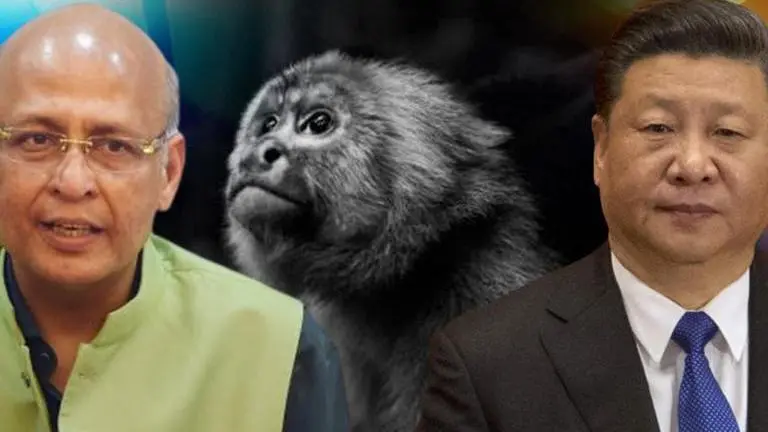 Monkey B Virus in China: Congress leader Abhishek Singhvi says 'don't trust' Beijing & WHO Monkey B Virus