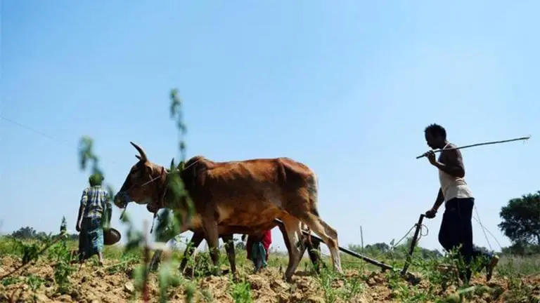 No labourers to harvest crop amid Covid, Uttar Pradesh farmer commits suicide