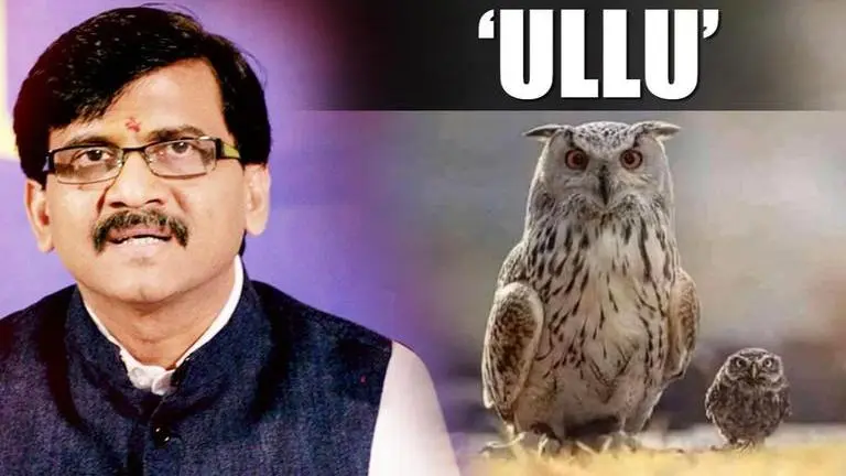 Sanjay Raut's posting takes odd turn, pivots from cryptic poetry to Owl PJs Sanjay