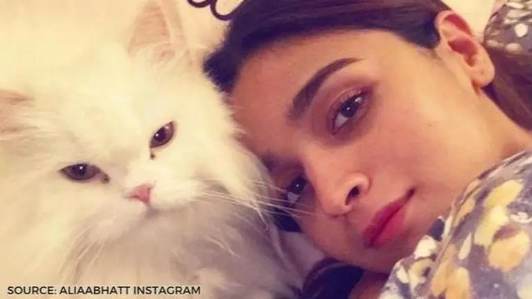 Alia Bhatt shares a picture with her 'eternal' Edward; fans call them 'cute' alia bhatt