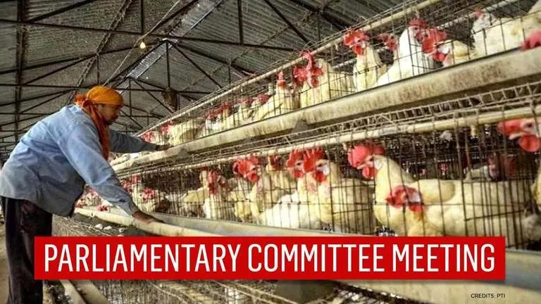 Parliamentary Agriculture Committee to meet as bird flu outbreak confirmed in 9 states Bird flu