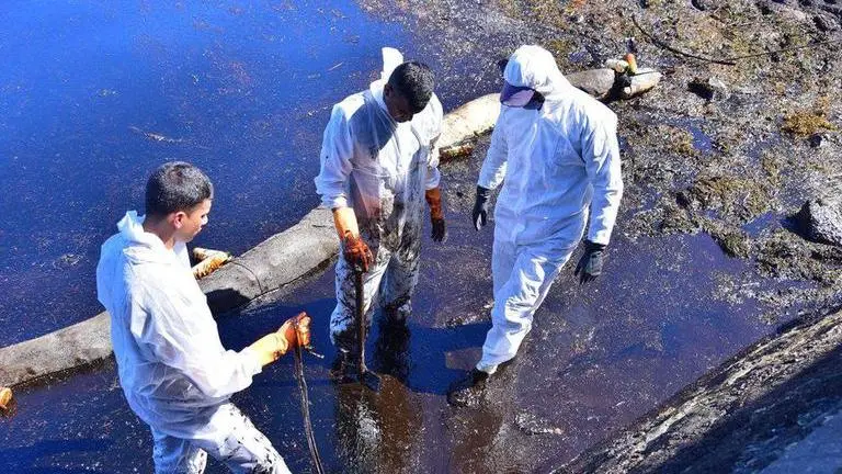 Mauritius Oil Spill: Experts and volunteers struggle to protect rich marine wildlife Mauritius oil spill
