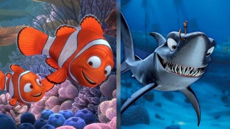 Clownfish Has Real-Life 'Finding Nemo' Moment in Viral Video