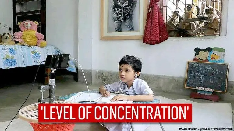 Langurs play 'backbenchers' as boy attends online class at home; tweeple say 'fascinating' Langurs