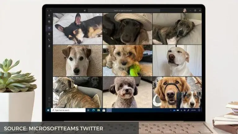 Source: MicrosoftTeams Twitter