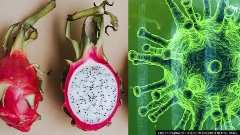 China shuts supermarkets after COVID traces found in dragon fruit imported from Vietnam China