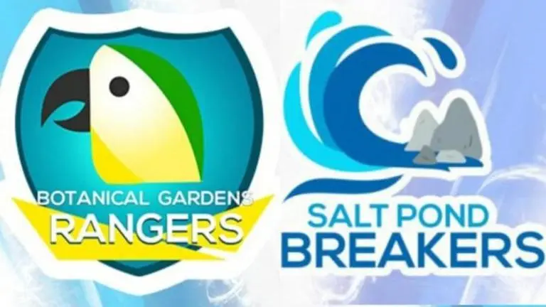 SPB VS BGR Dream11 prediction, team, top picks, Vincy Premier League live game info spb vs bgr dream11