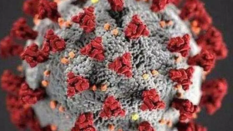 COVID-19: Scientists explain why children are less affected, cite difference in lungs COVID-19: Scientists expalin why children are less affected, cite difference in lungs