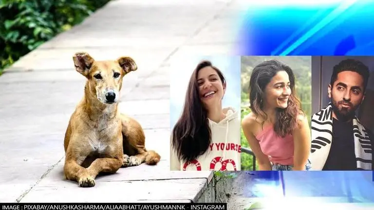 World Animal Day 2021: Here's a list of celebrities who are working towards animal welfare World Animal Day 2021, Ayushmann Khurrana, John Abraham, Alia Bhatt, Anushka Sharma, Dia Mirza, Samantha