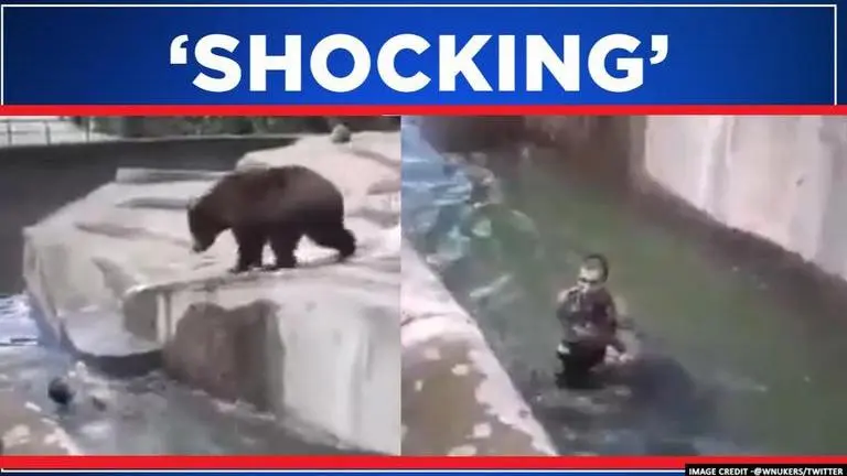 Drunk man tries to drown bear at a zoo in Poland; Watch video man