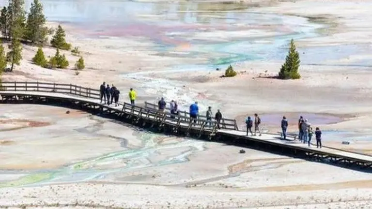 US woman jailed for 7 days for walking on restricted area at Yellowstone National park US