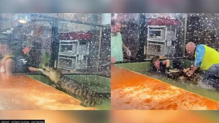 Alligator clamped in teeth on handler's hand, zoo visitor jumps inside to save her; watch Alligator