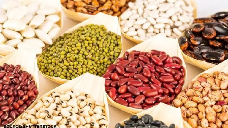 What is Eat your beans day 2020? All about its meaning, significance, and celebration what is Eat your beans day?