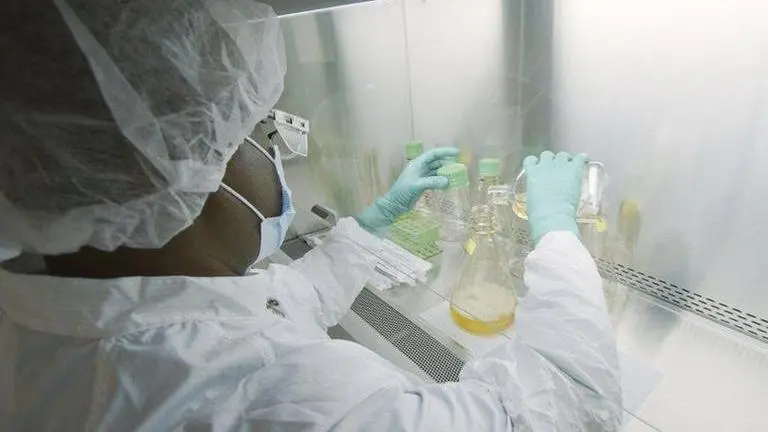 Companies test antibody drugs to treat, prevent COVID-19