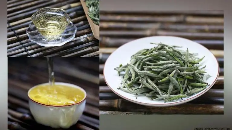 Tamil Nadu's silver needle white tea sold for Rs16,400 per kg at international tea auction Tamil Nadu