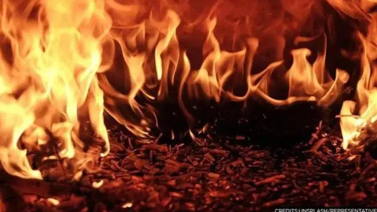 Pakistan's historic mosque rocked by suicide bomb attack, police officer killed