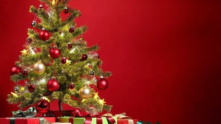 Is Tom Thumb open on Christmas 2020 and what are the holiday timings to abide by? is tom thumb open on christmas