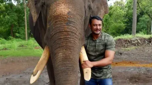 Kannada actor Darshan Thoogudeep shares heartfelt note after the death of elephant Arjun Darshan Thoogudeep pens a heartfelt note
