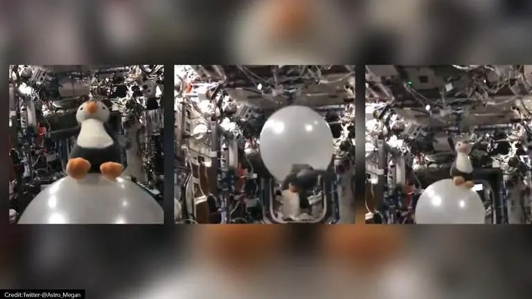 'Flippers up, let’s go!': Astronaut shares fun moment with toy penguin in ISS | Watch ISS