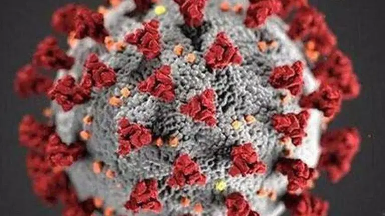 158 new COVID-19 cases detected in UP; total count rises to 2,645