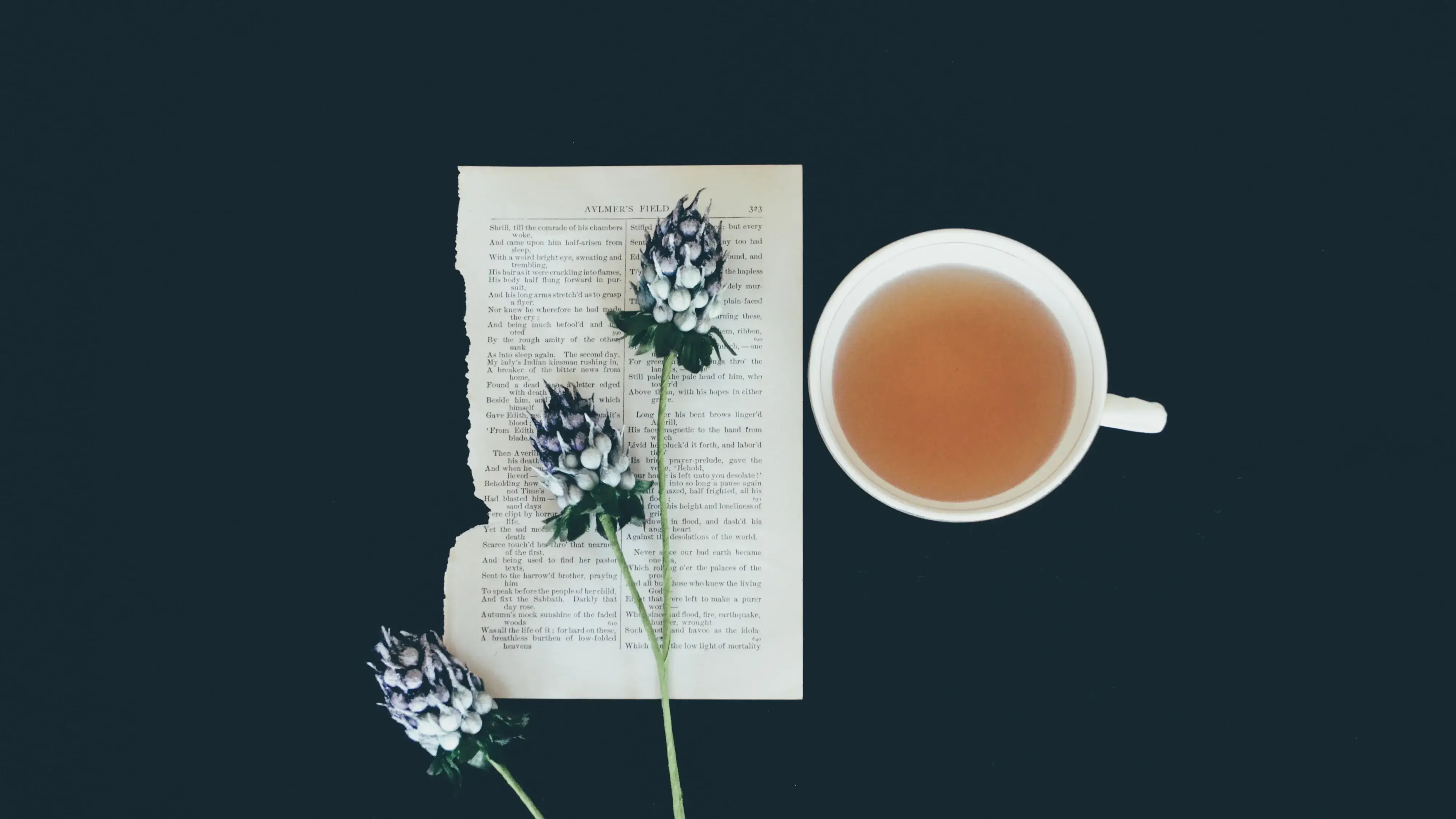 Description of the pic