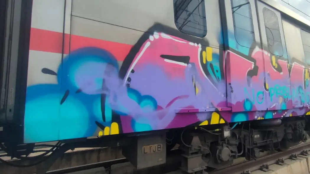 A wagon of the Delhi Metro was spray painted in multiple colours and words like 'Demo' and 'AAA' were found written on the coach.