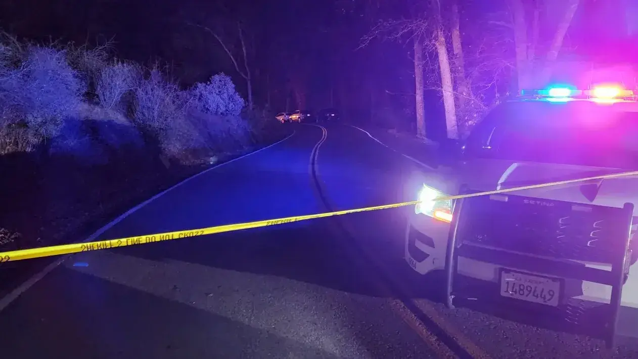 California teen uses ‘multiple weapons’ to kill parents before reporting bogus break-in: Cops California teen used ‘multiple weapons’ to kill parents.
