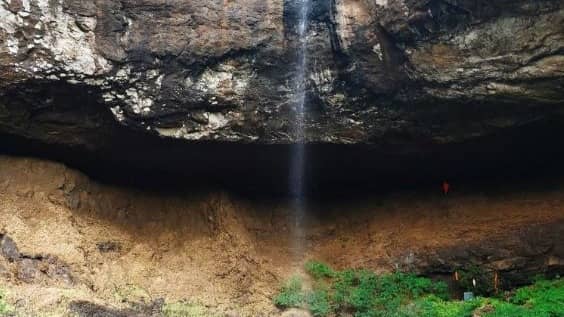 Description of the pic