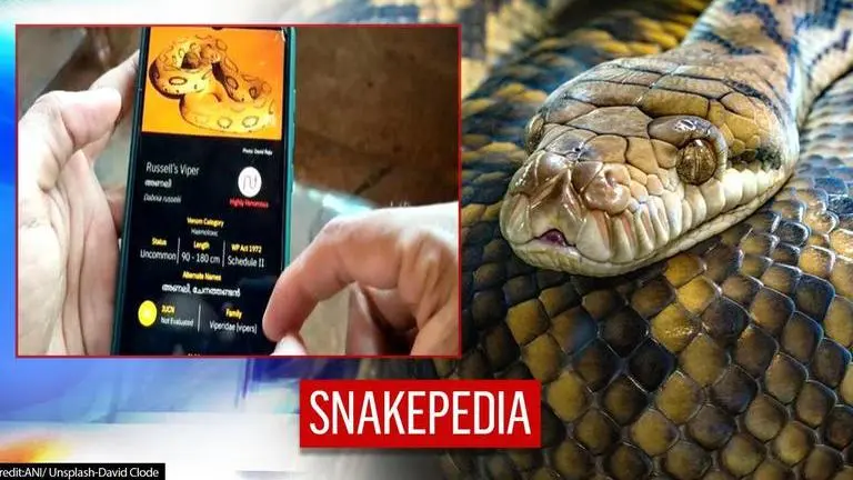 Snakepedia app presents information on snake bites; analyses first aid, treatment myths Snakepedia App presents information on snakes, analyses treatment |Read