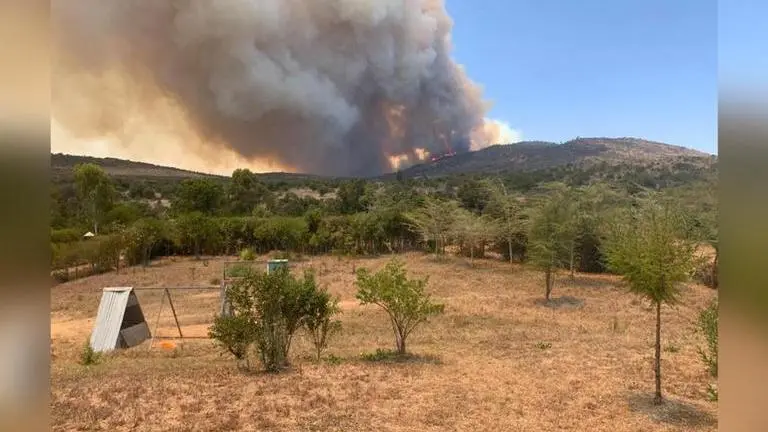 Kenyans sue British Army, conservancy over fire that destroyed 12,000 acres of land Kenyans