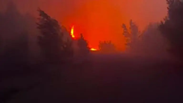 Ukraine reports massive fire near Chernobyl NPP's Exclusion zone Ukraine