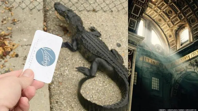 'Anybody’s welcome': Florida pastor invites alligator to church; offers business card Florida