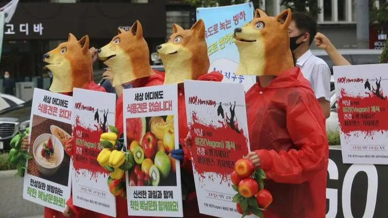 SKorean activists call for ban on eating dogs