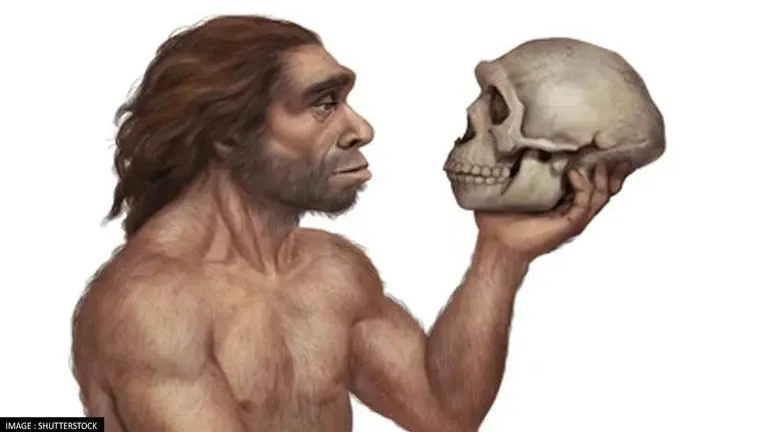 Neanderthals