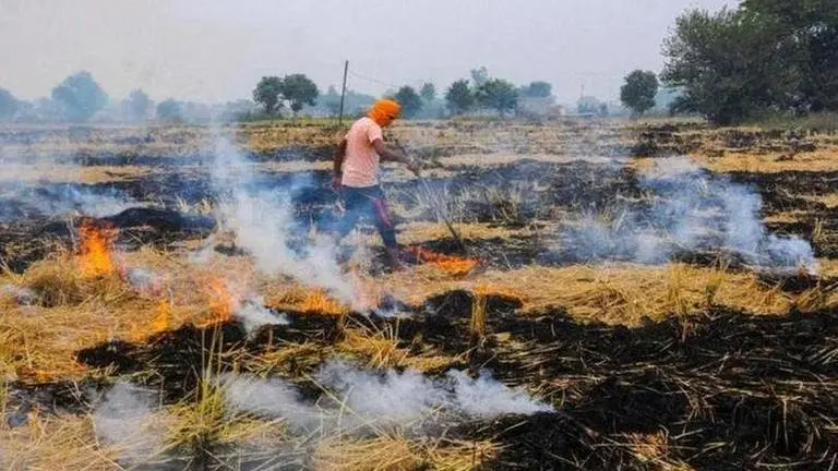 Stubble burning: 22 farmers arrested for burning paddy straw in Punjab Punjab