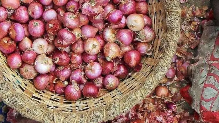 Ludhiana: Onion prices hit Rs 100/kg, sellers express displeasure Punjab