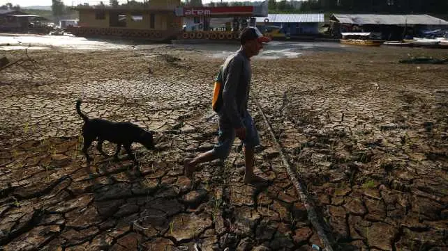 Over 3/4th of Earth's land became drier in last 30 years: UN Drought in Brazil’s Amazon
