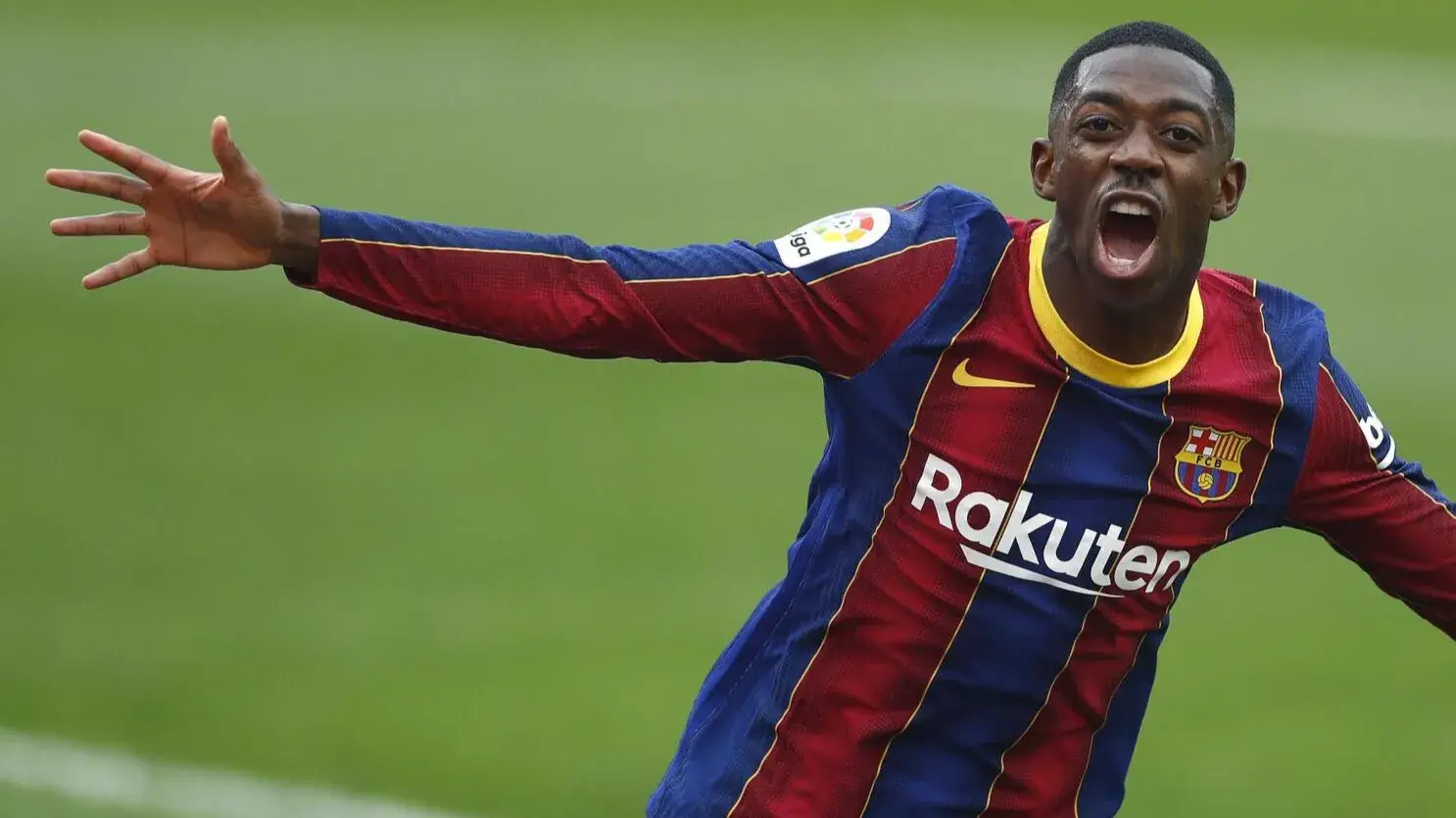 Description of the pic