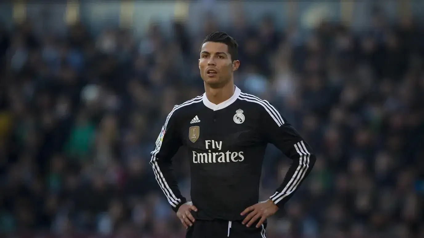 Description of the pic