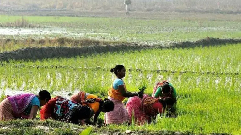 2 Haryana BJP leaders term farm bills 'anti-farmer'