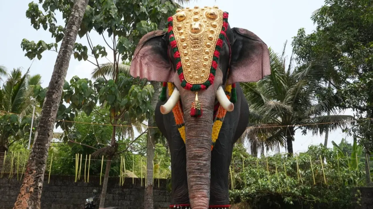 Elephant Mahadevan