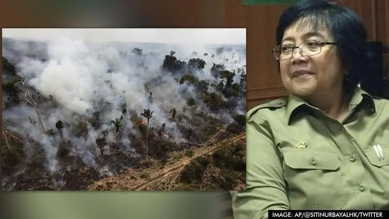 Indonesia calls COP26 zero-deforestation pledge 'unfair': None can stop economic progress COP26