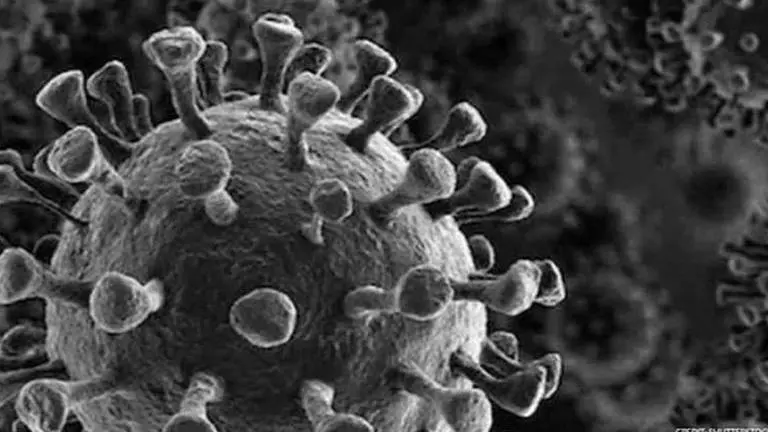 New Mexico reports 67 new coronavirus cases, 2 more deaths New Mexico reports 67 new coronavirus cases, 2 more deaths