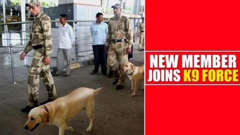 CISF welcomes newest member 'Ruby' in its K9 squad- Republic World