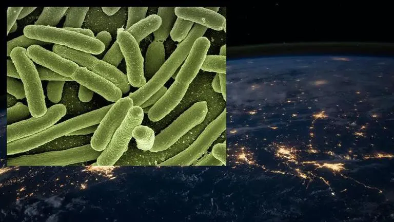 Earth needs serious biosecurity measures against alien pathogens in space, experts warn Earth