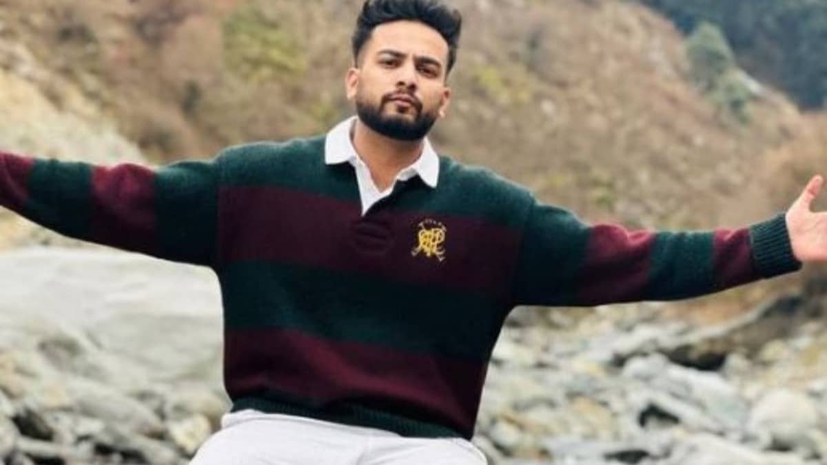 Description of the pic